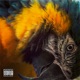 Parrot