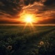 Sun Gazing Single