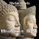 Buddhist Tibetan Chants with Brainwave Entrainment for Meditation Chanting Audio