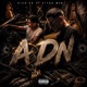 ADN feat Pitoh Man Single