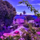 BLISS Single