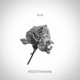 This Is Love feat Koshun Nakao Single