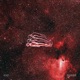 Red Reverie Single