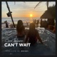 Can t Wait Single