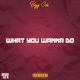 What You Wanna Do Single