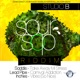 Sour Sop Riddim Single