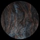 Human Responses EP