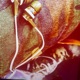 Whoa feat High Chief MOE Mansun Tommie Gunz PRETTY TONE CAPONE Single