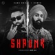 SHAUNK Single