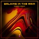Walking in the Rain Single