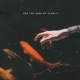 For the Sake of Clarity EP