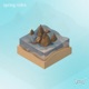 Spring Tides Single