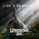 Link s Awakening Single