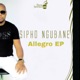 Allegro Single