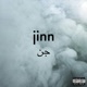 Jinn Single