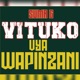 Vituko Vya Wapinzani Single