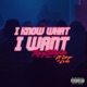 I KNOW WHAT I WANT feat Diego Corz Single