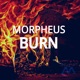 Burn Single