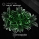 Immortal Single