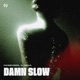 Damn Slow Single