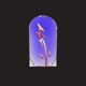 Perpetual Rebirth Single