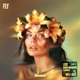 Fly feat Willy Jules Single