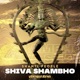 Shiva Shambho Vertigos Remix Single