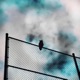 Monroe feat terø Single