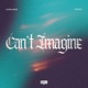 CAN T IMAGINE feat ricko Single