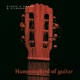 Hummingbird of Guitar Single