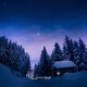 Snowy Stars In 2022 Single