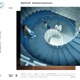 Nautiloid Experience Introducing