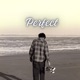 Perfect Hindi Version Single