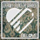 Silence the Darkness Single