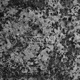 Essential 004 Single