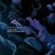 Cause for Concern Single