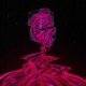 Devilman Single