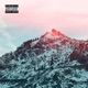 Polar feat Kelvo Single