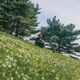 Evergreen EP