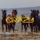 Crazy Single