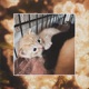 starlight demo Single