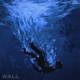 Wall Single