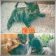 撞色 feat CheukLung Timnawty Single