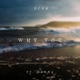 Why You feat Hanna Single