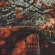New Places Single