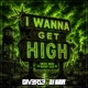 I Wanna Get High feat DJ Navi Single