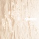 Golden Wave EP
