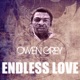 Endless Love Single