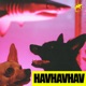 HAVHAVHAV Single