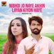 Nibhdi Jo Naye Akhin Layan Kiyon Haye Single
